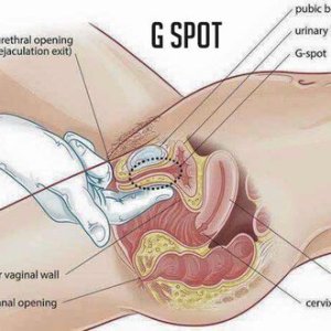 How to find the G Spot! Email me hannahfoxx@bunnyranch.com