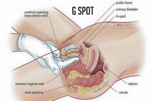 How to find the G Spot! Email me hannahfoxx@bunnyranch.com